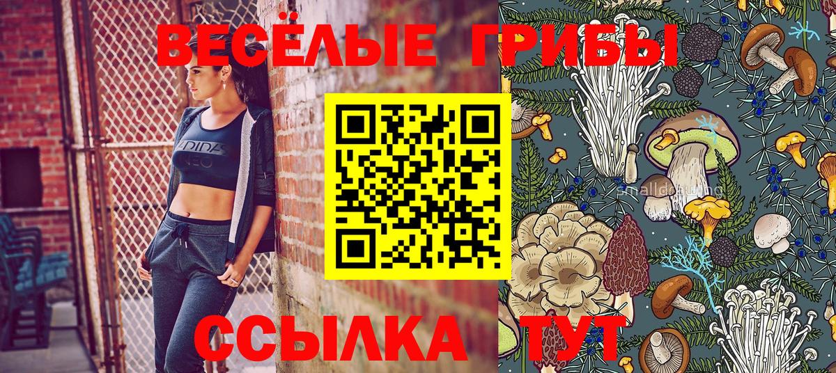 Псилоцибиновые грибы Cubensis Котовск