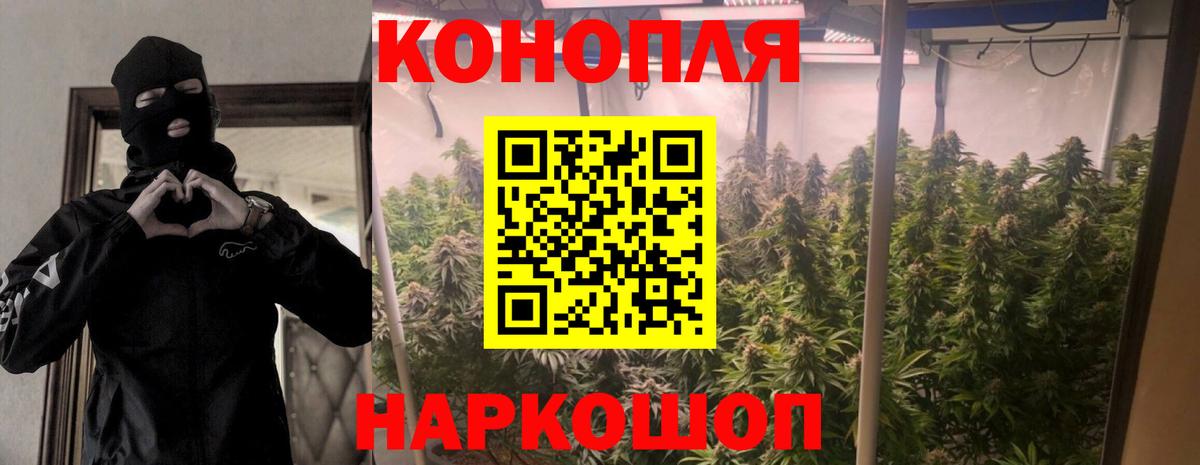 Шишки марихуана ГИДРОПОН  Вход с VPN  Шишки марихуана THC 21%  Котовск  Марихуана конопля 